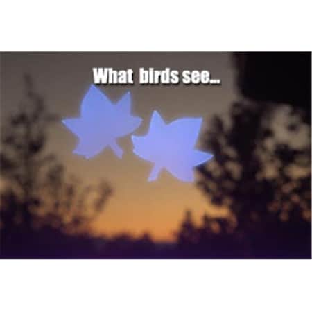 Window Alert Window Alert WINDA1 Maple Leaf Decal and Deterrent for Birds WINDA1